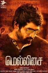 Постер сериала «Несовершенная загадка»